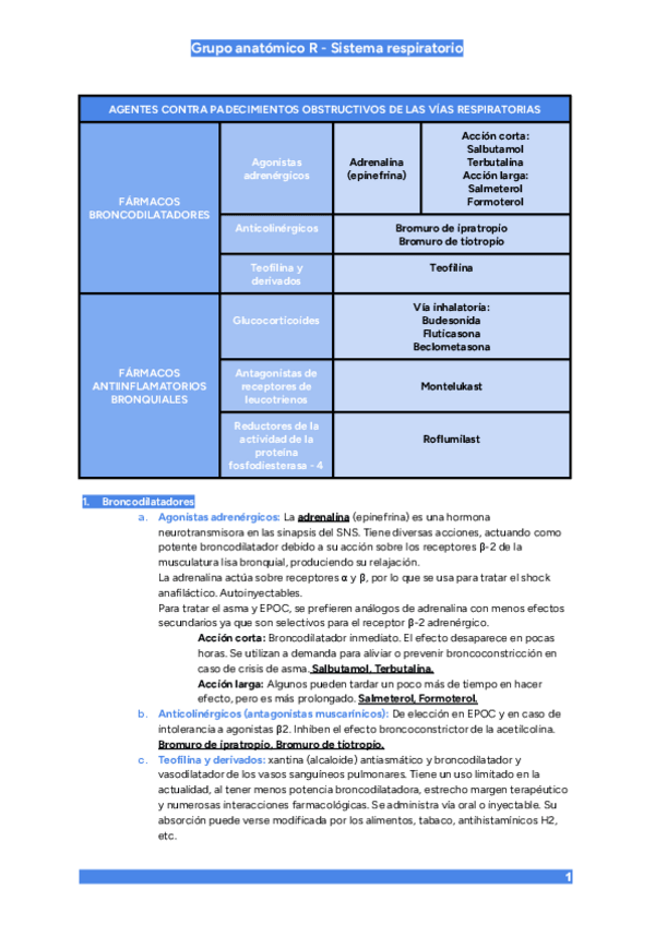 Miniatura del documento Grupo-anatomico-R-Sistema-respiratorio.pdf