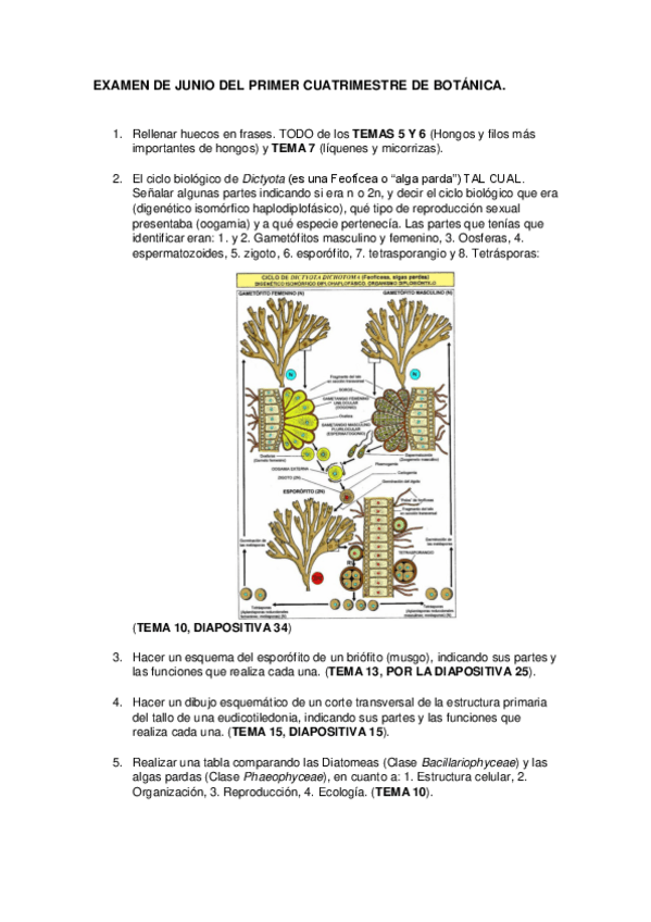 Miniatura del documento EXAMEN JUNIO PRIMER CUATRIMESTRE 2016.pdf