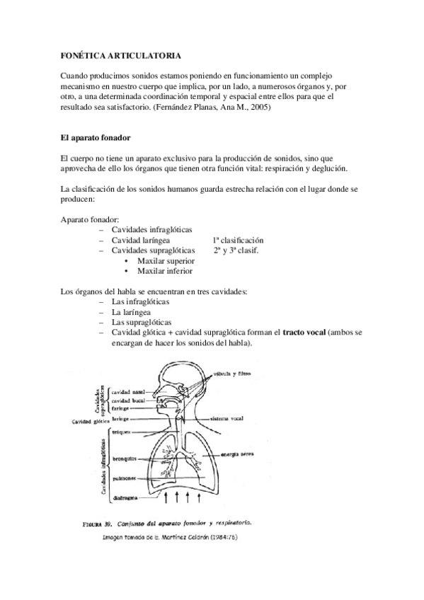 Miniatura del documento T. Fonética articulatoria.doc