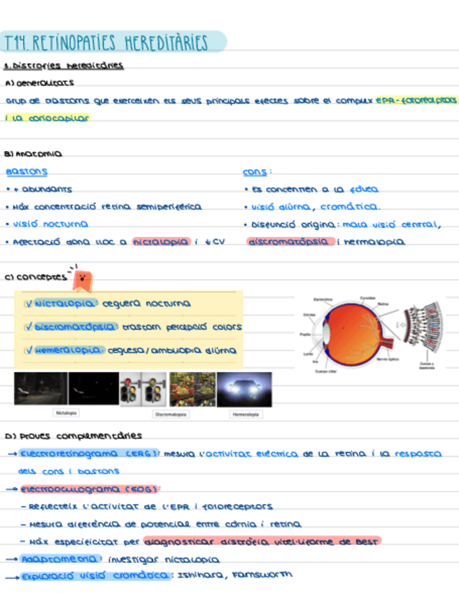 Miniatura del documento T14-Retinopaties-hereditaries.pdf