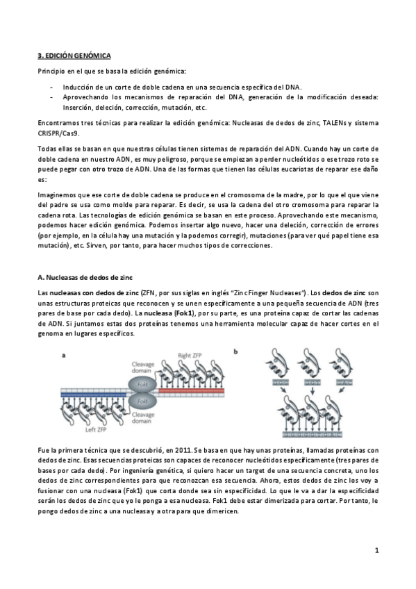 Miniatura del documento AMPLIACIÓN TEMA 6 2018.pdf