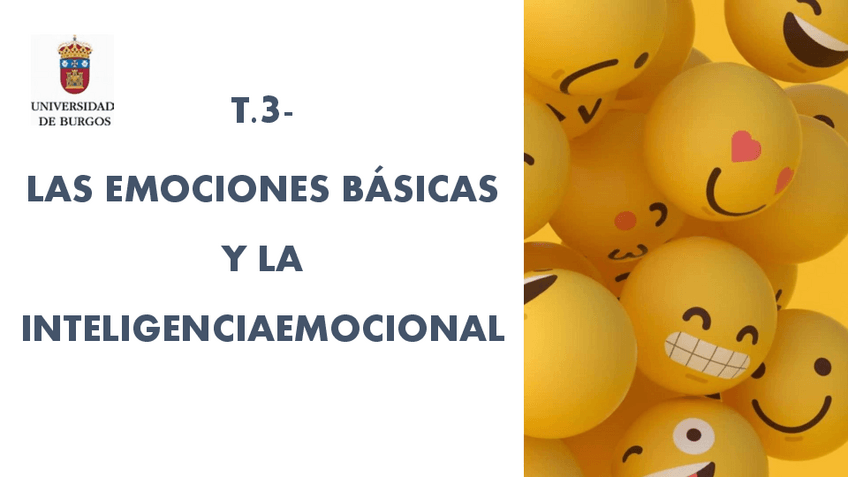 Miniatura del documento T.3-EMOCION.pdf