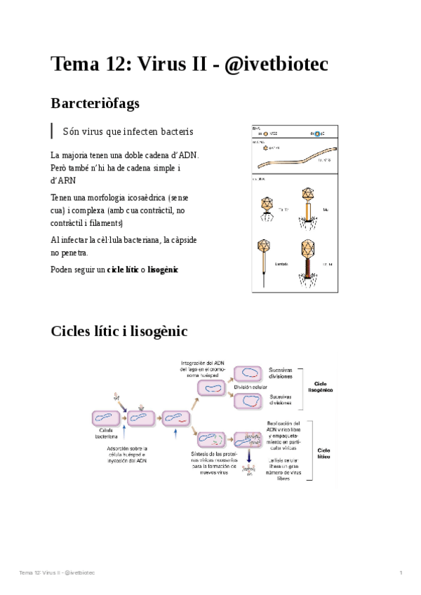 Miniatura del documento Tema-12Microbiologia.pdf