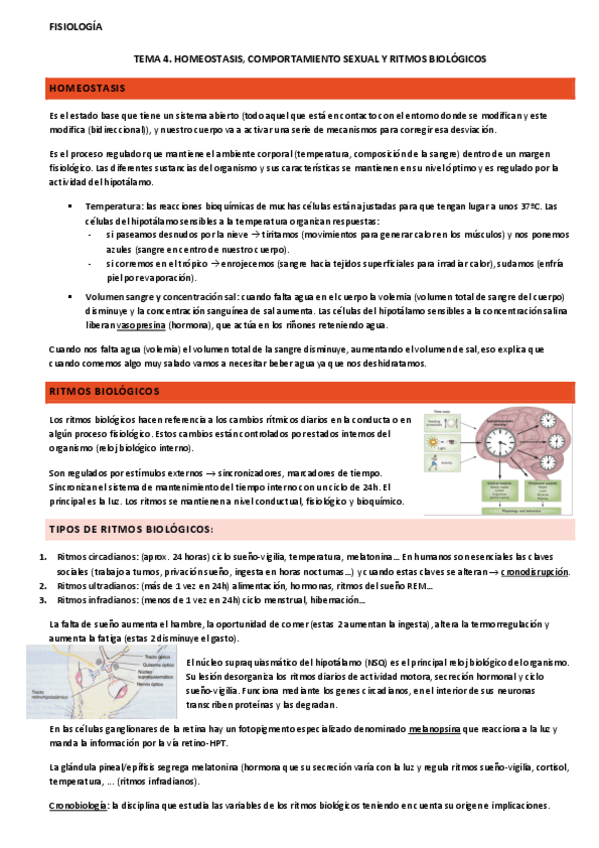 Miniatura del documento tema-4-fisiologia.pdf