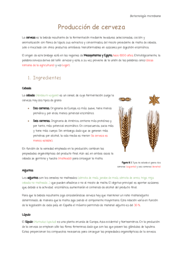 Miniatura del documento 8.-Produccion-de-cerveza.pdf