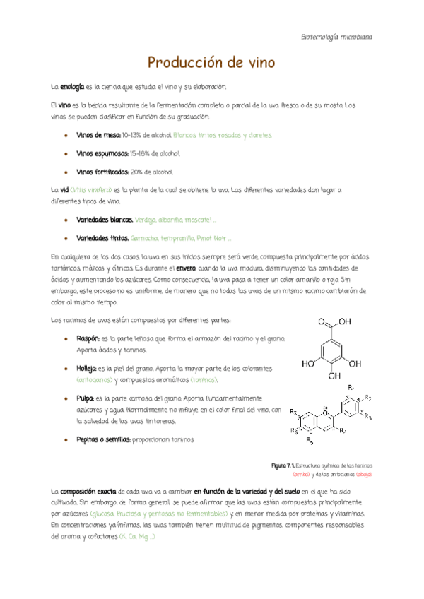 Miniatura del documento 7.-Produccion-de-vino.pdf