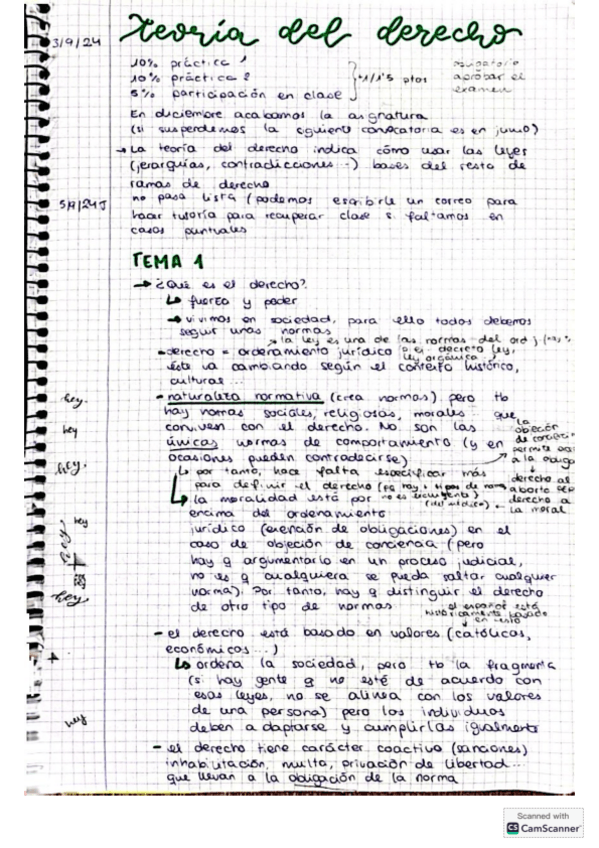 Miniatura del documento Tema-1-Teoria-del-Derecho.pdf