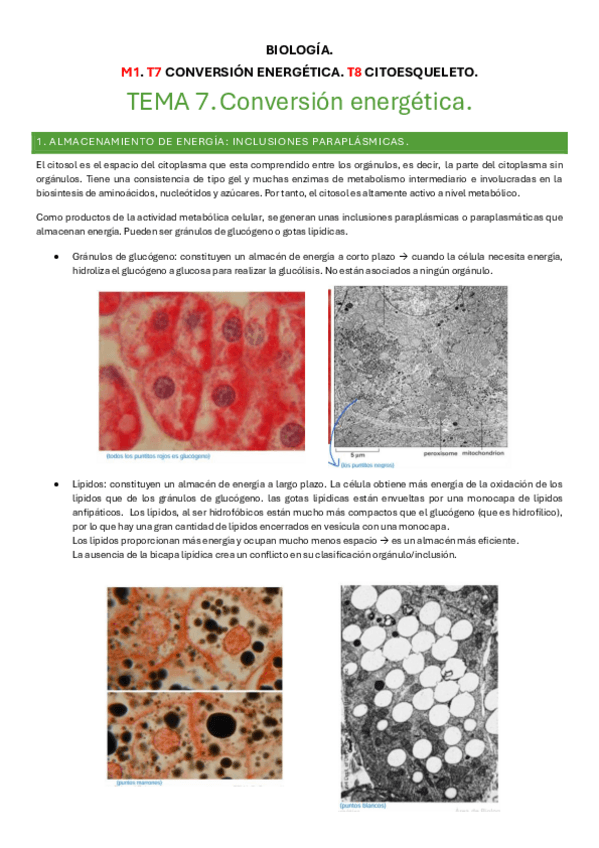 Miniatura del documento BIOLOGIA-M3.pdf