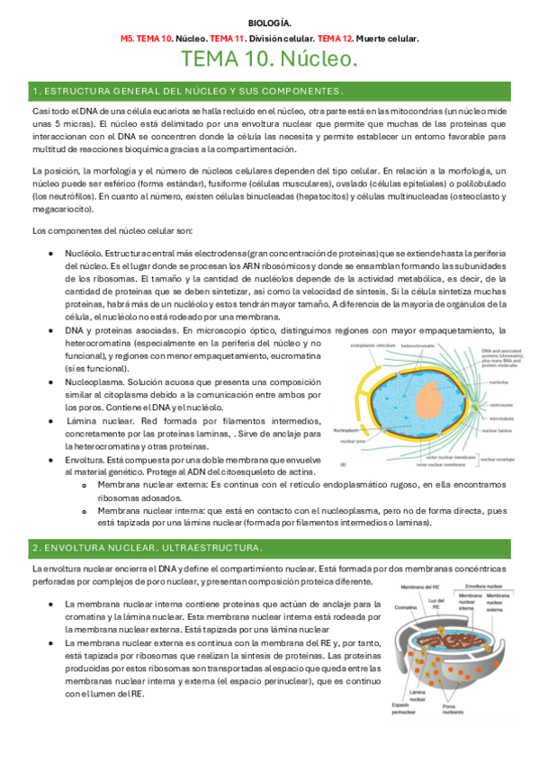 Miniatura del documento Biologia-M5.pdf