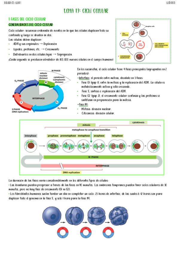 Miniatura del documento tema-19-biologia-celular-I.pdf