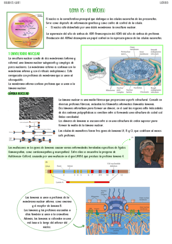 Miniatura del documento tema-15-biologia-celular-I.pdf