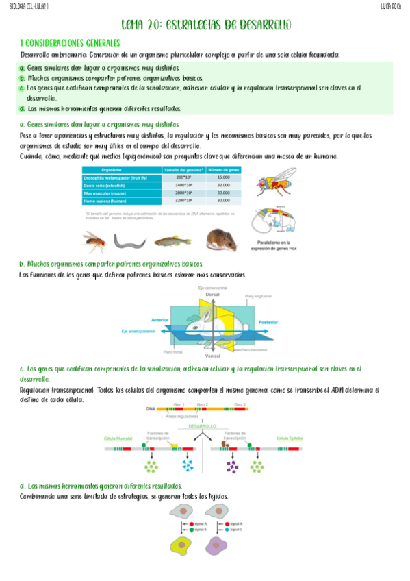Miniatura del documento tema-20-biologia-celular-I.pdf