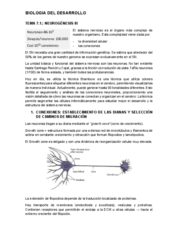 Miniatura del documento tema-7.1.-desarrollo.pdf