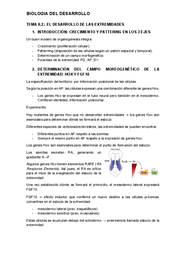 Miniatura del documento tema-8.2.-desarrollo.pdf