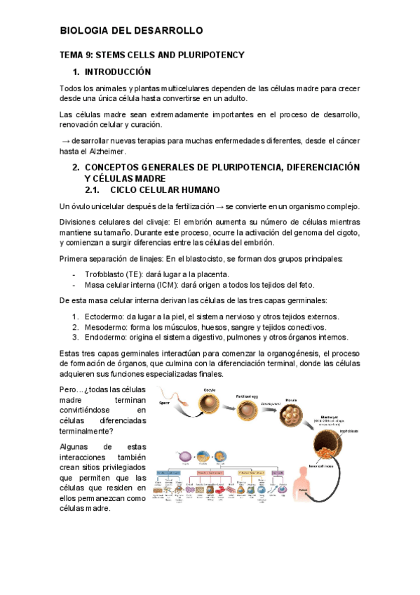 Miniatura del documento tema-9-desarrollo.pdf