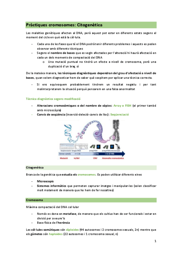 Miniatura del documento Practica-teoria.pdf