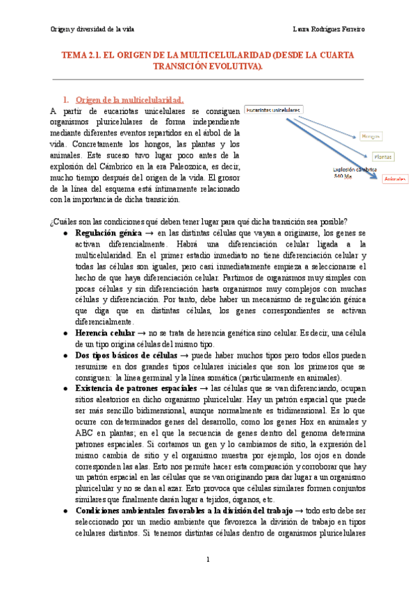 Miniatura del documento Tema-2.1.-Origen-y-diversidad-de-la-vida-2.pdf