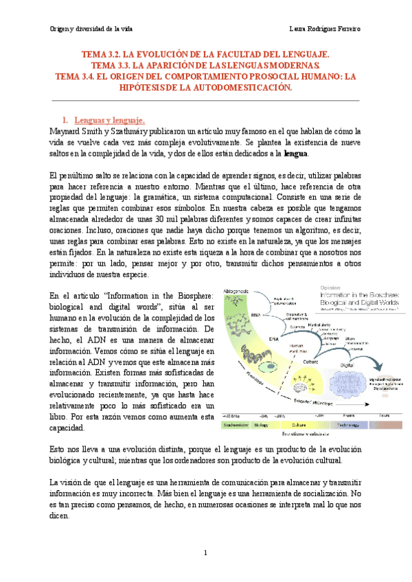 Miniatura del documento Tema-3.2-3.3-3.4.-Origen-y-diversidad-de-la-vida.pdf