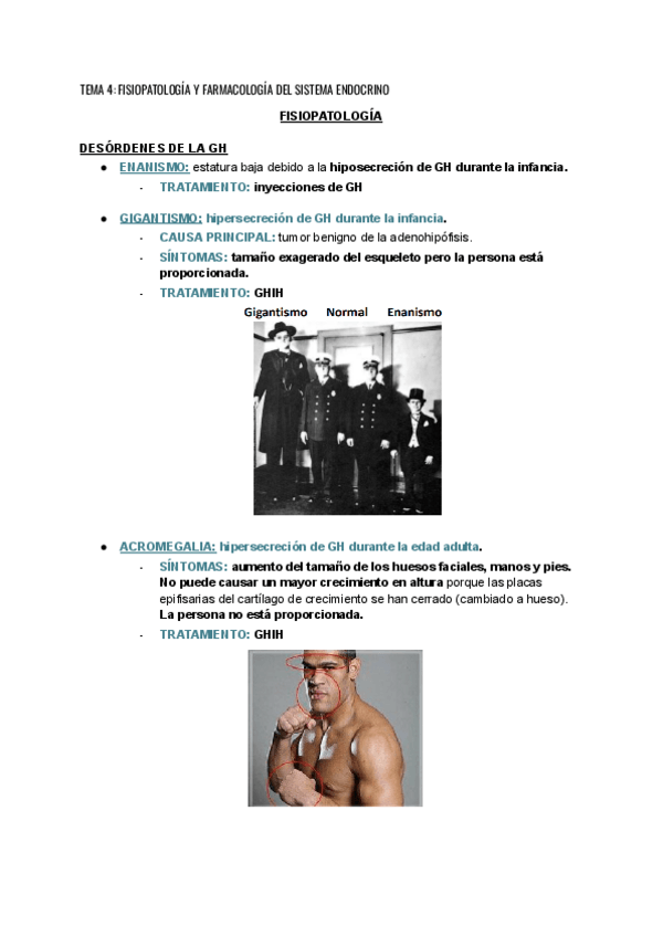 Miniatura del documento TEMA-4-FISIOPATOLOGIA-Y-FARMACOLOGIA-DEL-SISTEMA-ENDOCRINO.pdf