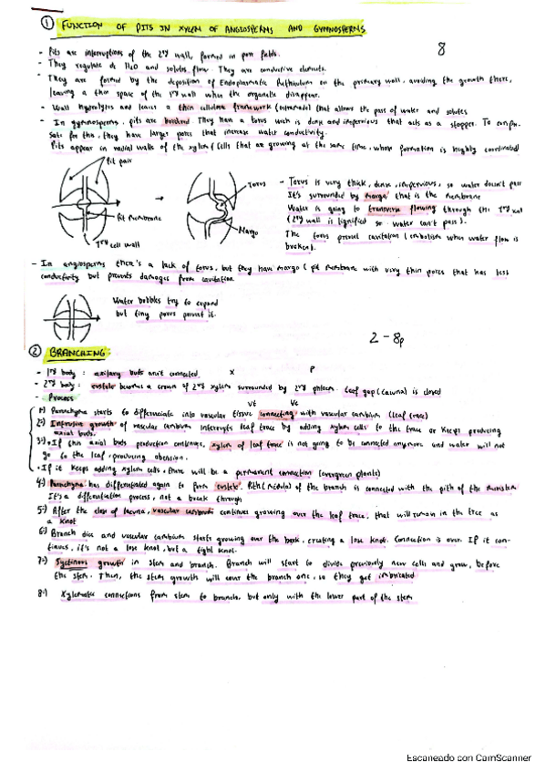 Miniatura del documento todas-las-preguntas-que-caen-en-anato-Ingles.pdf