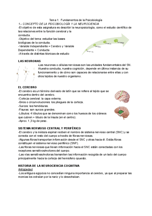 Miniatura del documento Tema-1-Fundamentos-de-la-Psicobiologia.pdf