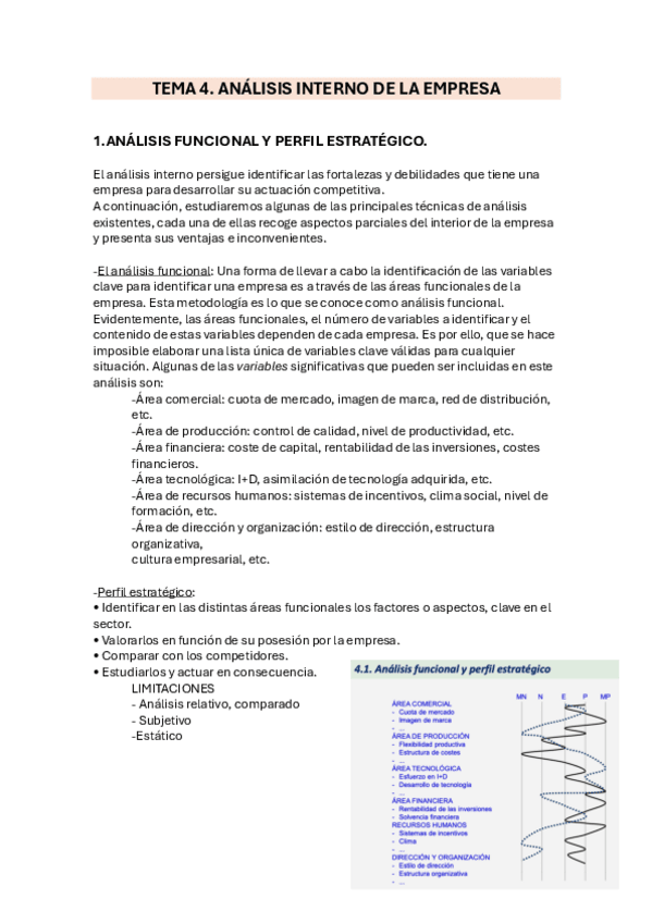 Miniatura del documento TEMA-4.-ANALISIS-INTERNO-DE-LA-EMPRESA.pdf
