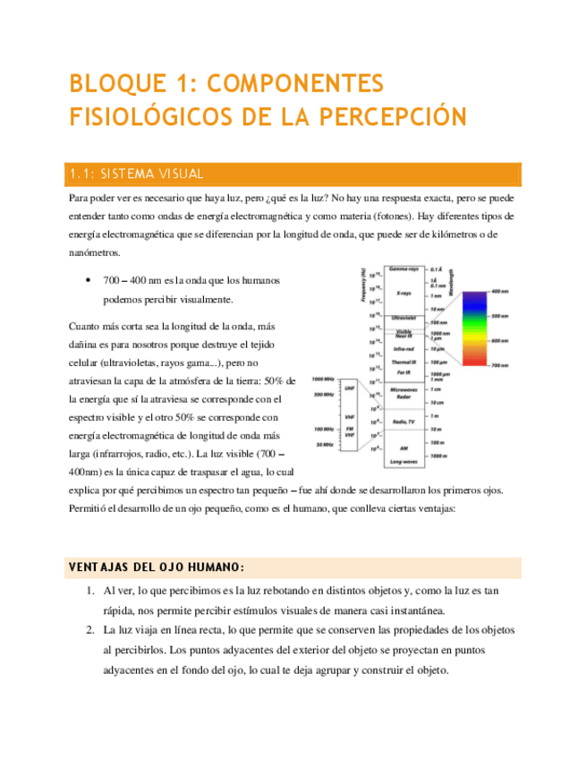 Miniatura del documento Percepcion-Apuntes-Examen-completos.pdf