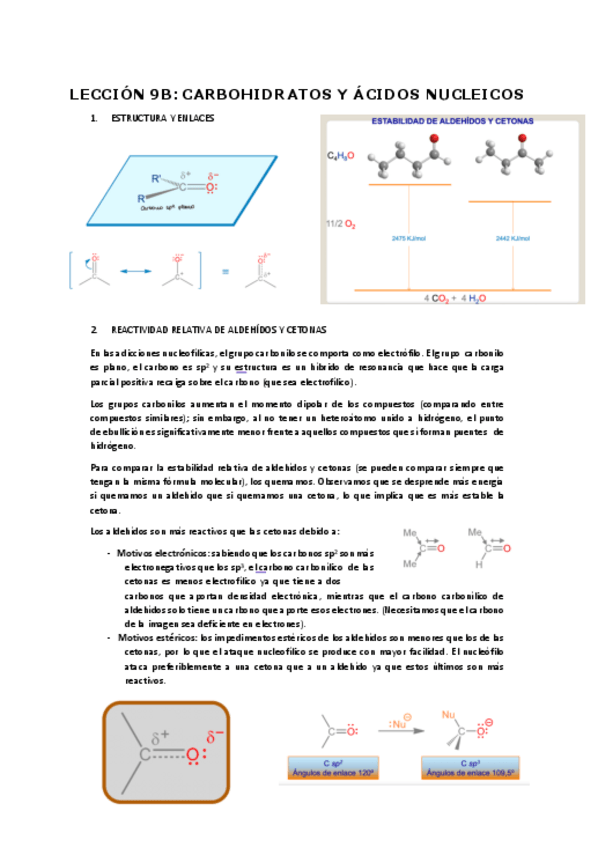 Miniatura del documento leccion-9.pdf