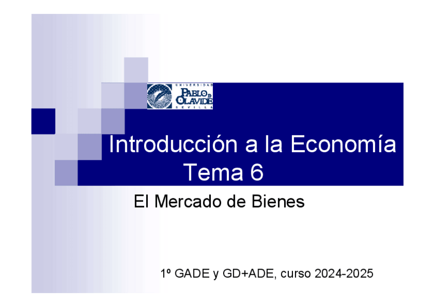 Miniatura del documento EcoIntroTema62024vf.pdf