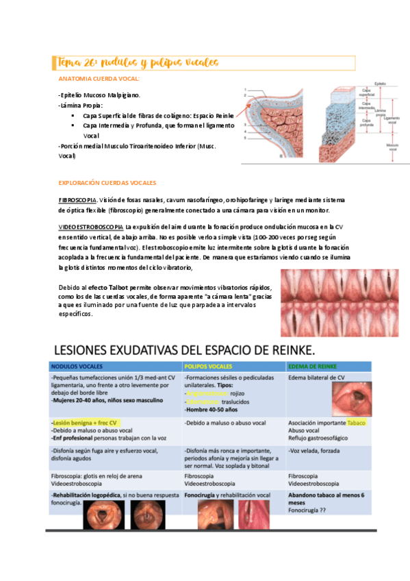 Miniatura del documento Tema-26-y-27.pdf