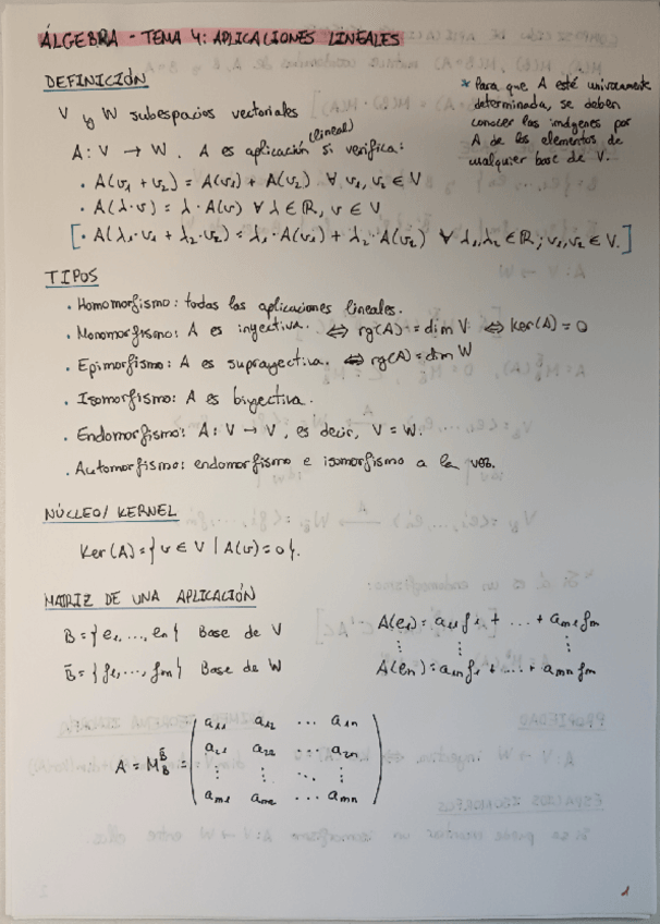 Miniatura del documento Al-Resumen-AplicacionesLineales.pdf