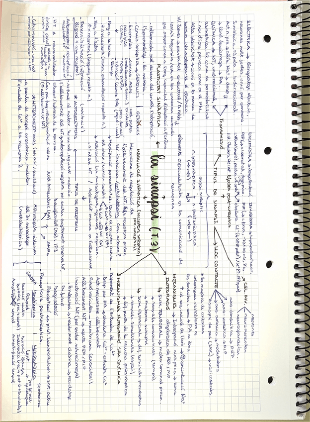 Miniatura del documento esquema psicobio-t.3.pdf