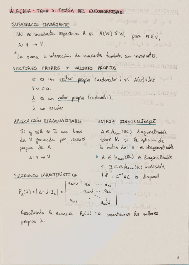 Miniatura del documento AL-Resumen-Endomosrfismo.pdf
