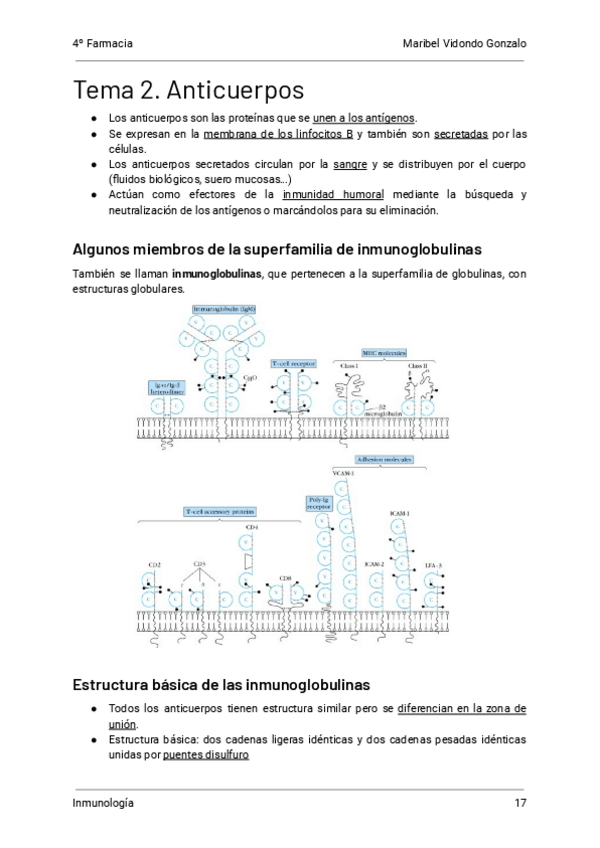 Miniatura del documento 2.-Anticuerpos-Inmunologia.pdf