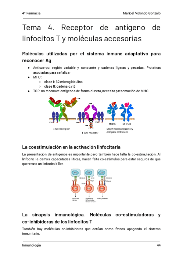 Miniatura del documento 4.-Receptor-de-antigenos-de-linfocitos-T-y-moleculas-accesorias-Inmunologia.pdf