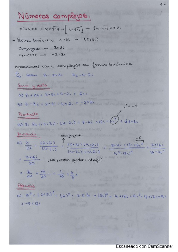 Miniatura del documento complejos.pdf