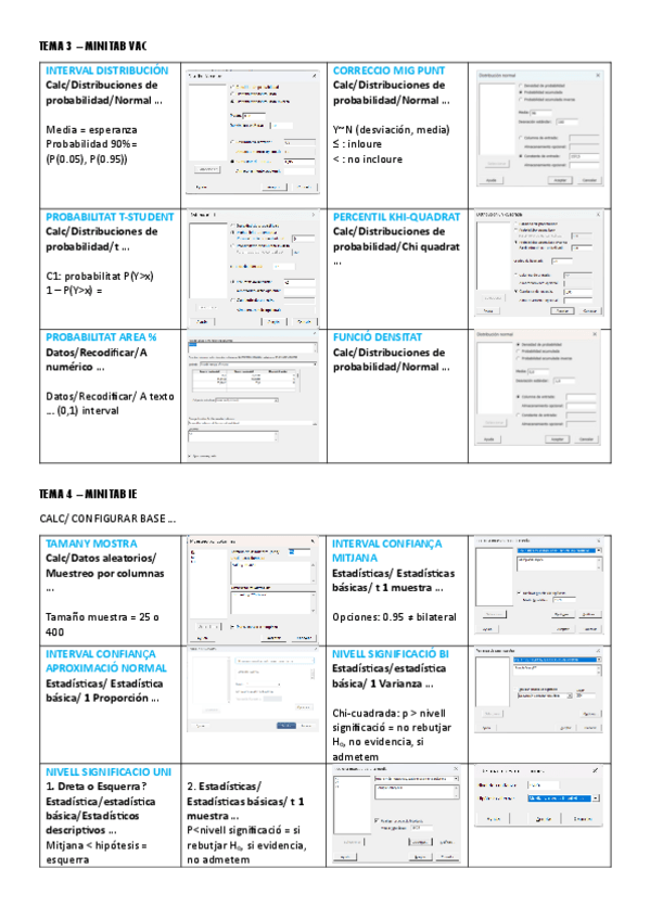Miniatura del documento minitab-final-explicacio.pdf