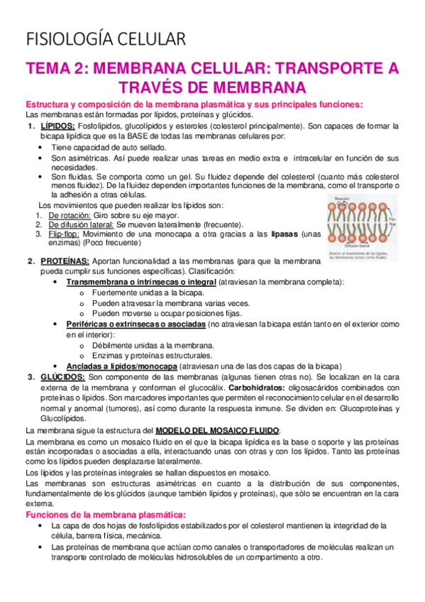 Miniatura del documento TEMAS-2-10.pdf