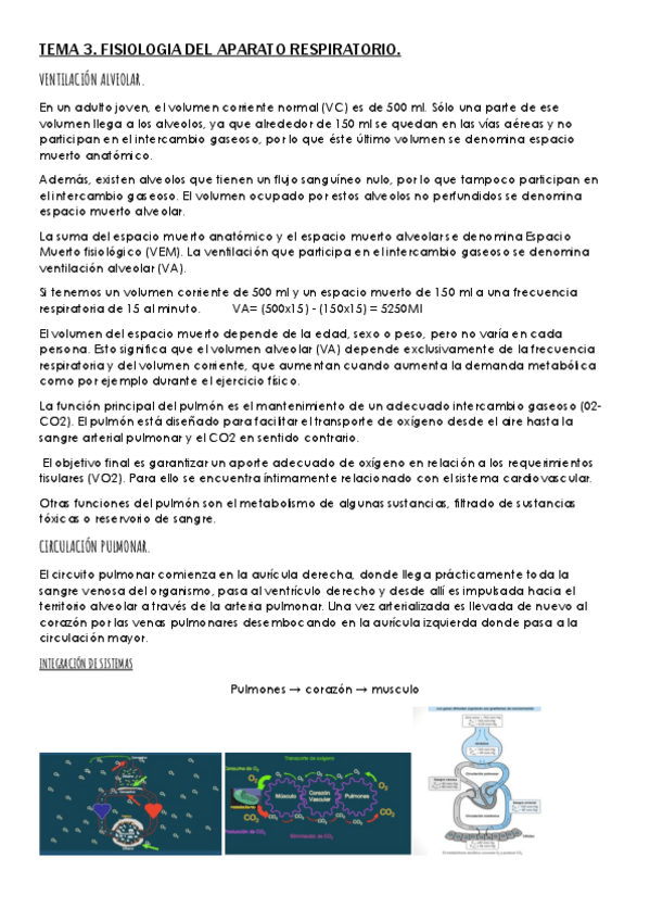 Miniatura del documento TEMA-3-RESPI.pdf