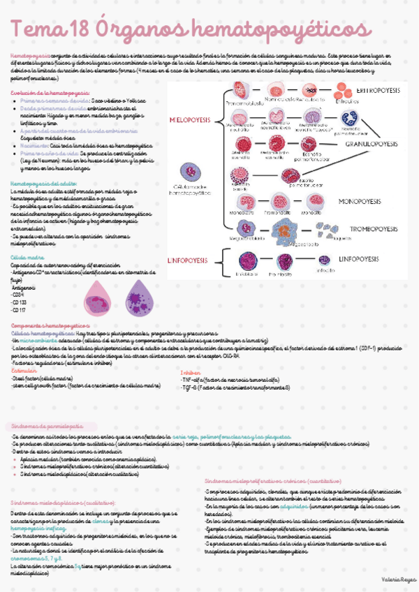 Miniatura del documento Tema-18.pdf