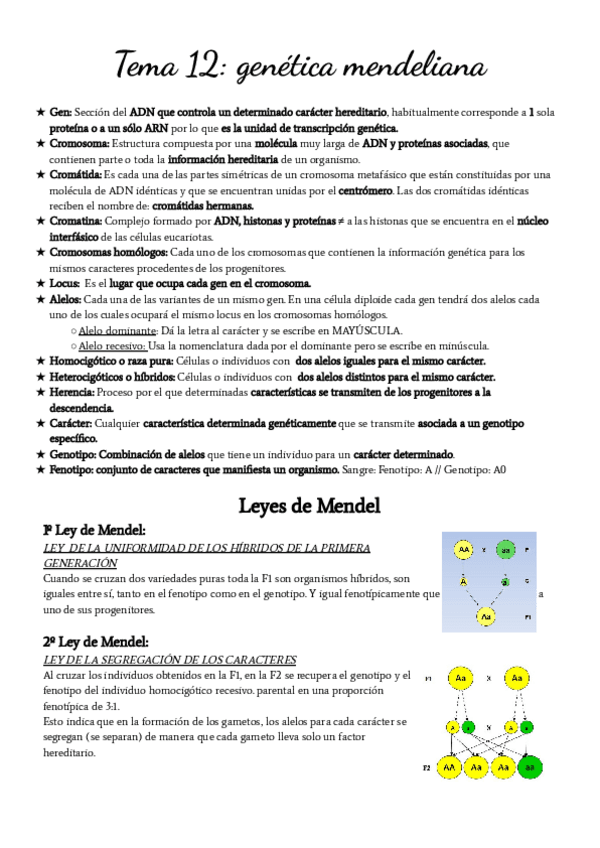 Miniatura del documento T-12-Genetica-mendeliana.pdf
