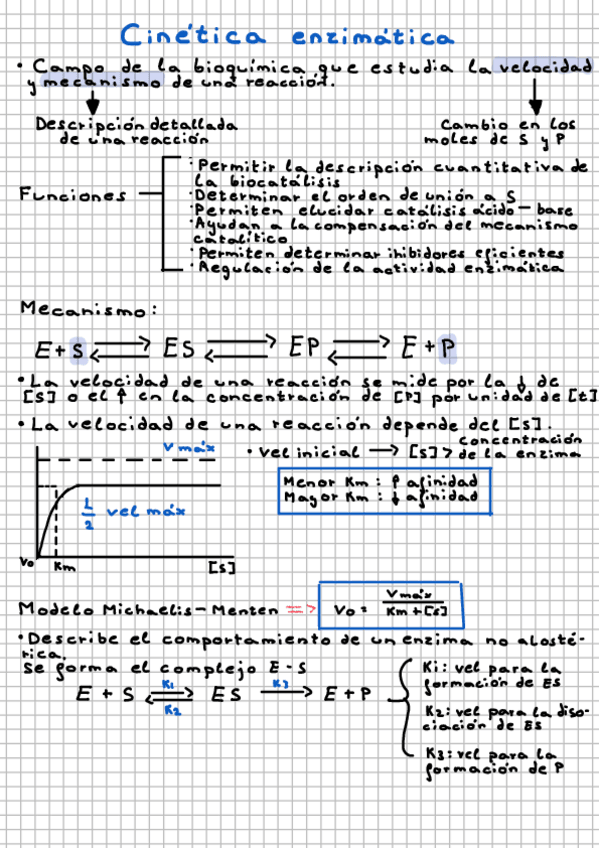 Miniatura del documento Enzimas.pdf