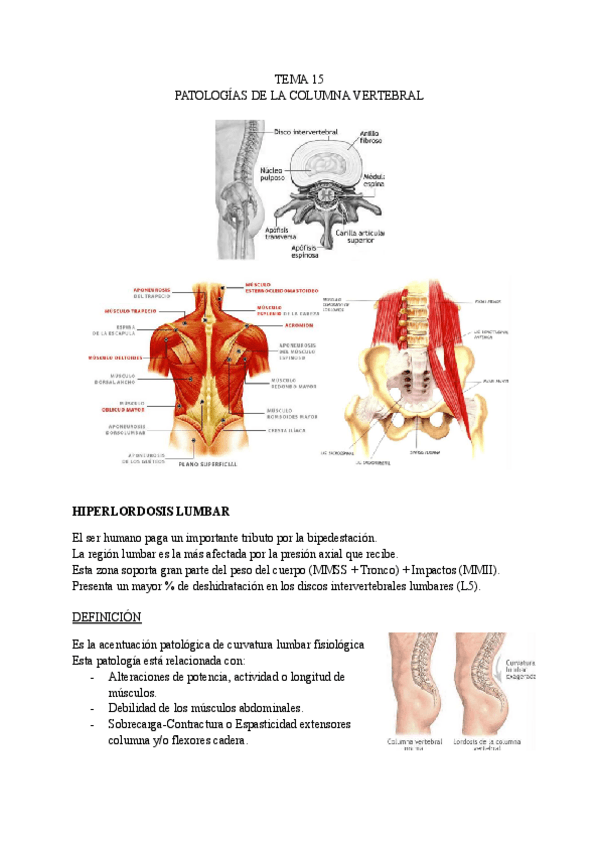 Miniatura del documento TEMA-15-LESIONES.pdf