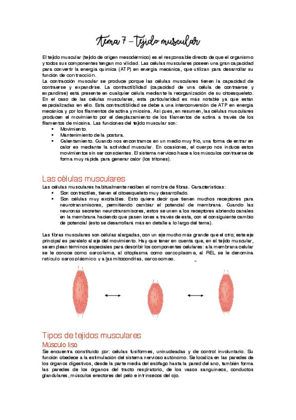 Miniatura del documento Tema 7 - Tejido muscular.pdf