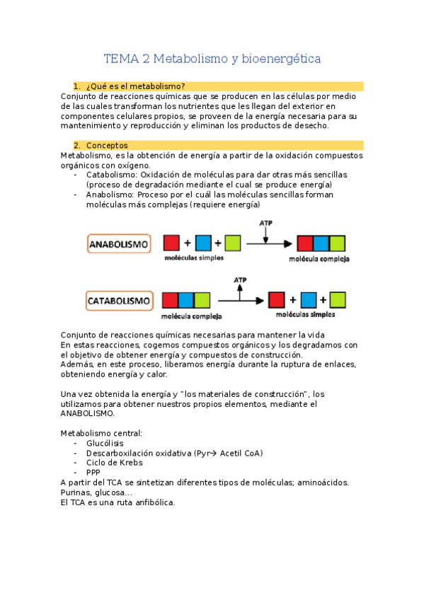 Miniatura del documento TEMA-2Metabolismo-y-bioenergetica.docx