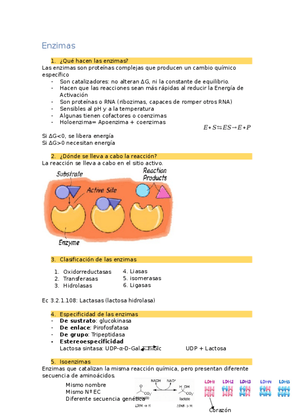 Miniatura del documento TEMA-3-Enzimas.docx