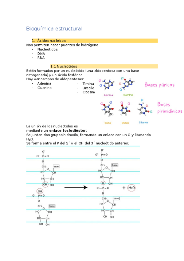 Miniatura del documento TEMA-4Bioquimica-estructural.docx