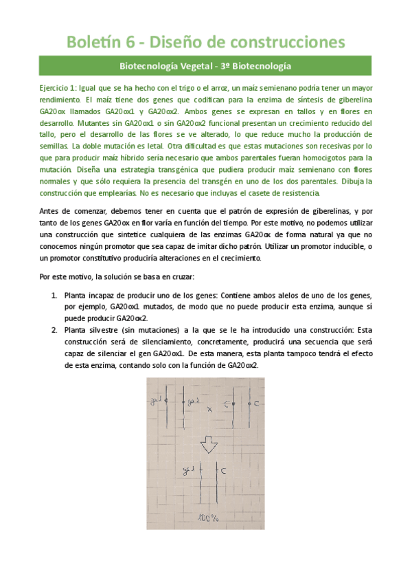 Miniatura del documento Boletin-6-Diseno-de-construcciones.pdf