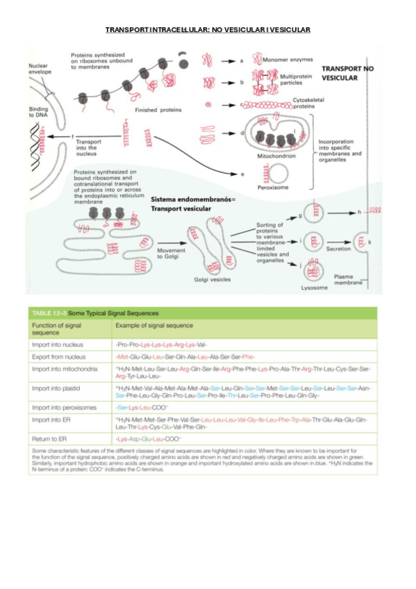 Miniatura del documento BLOC-2-BIOLOGIA.pdf
