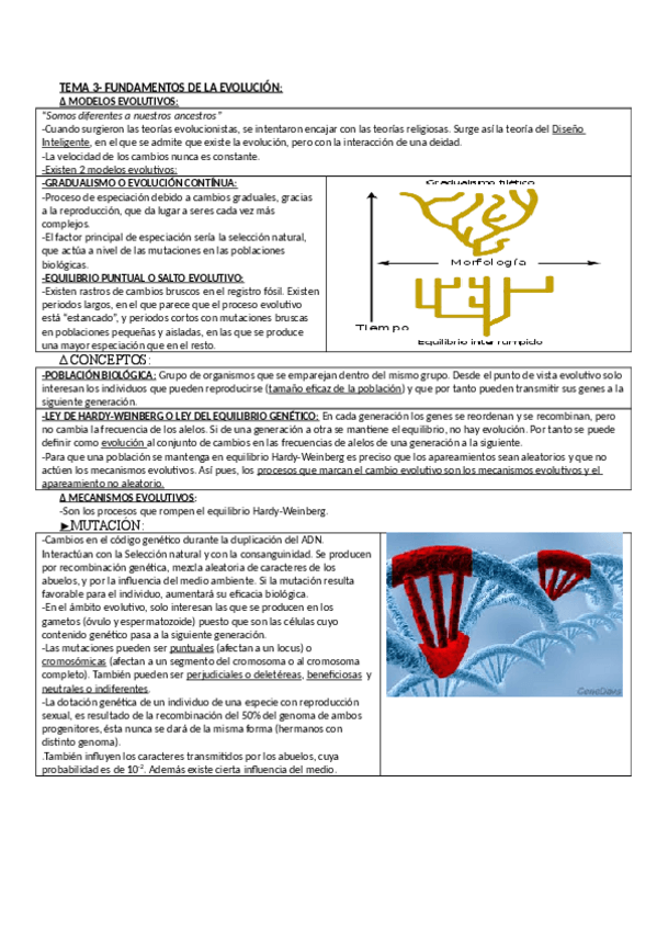 Miniatura del documento ANTROP_3.pdf